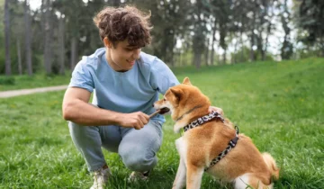 The Science Behind Why Dogs Love Chews and Treats So Much