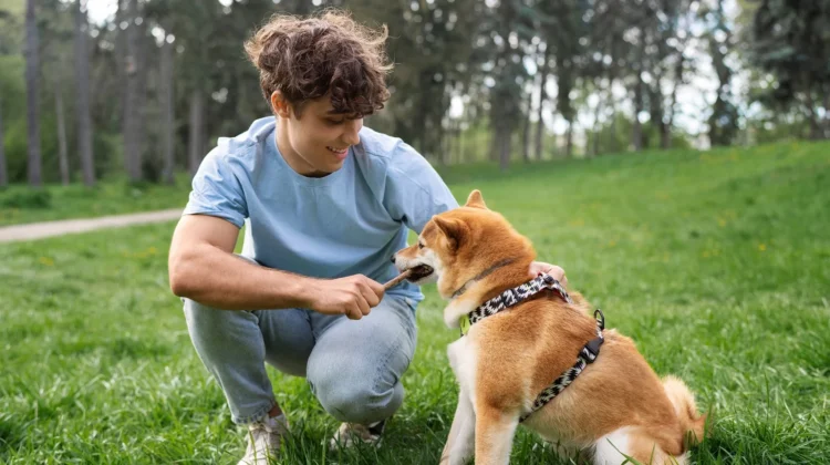 The Science Behind Why Dogs Love Chews and Treats So Much